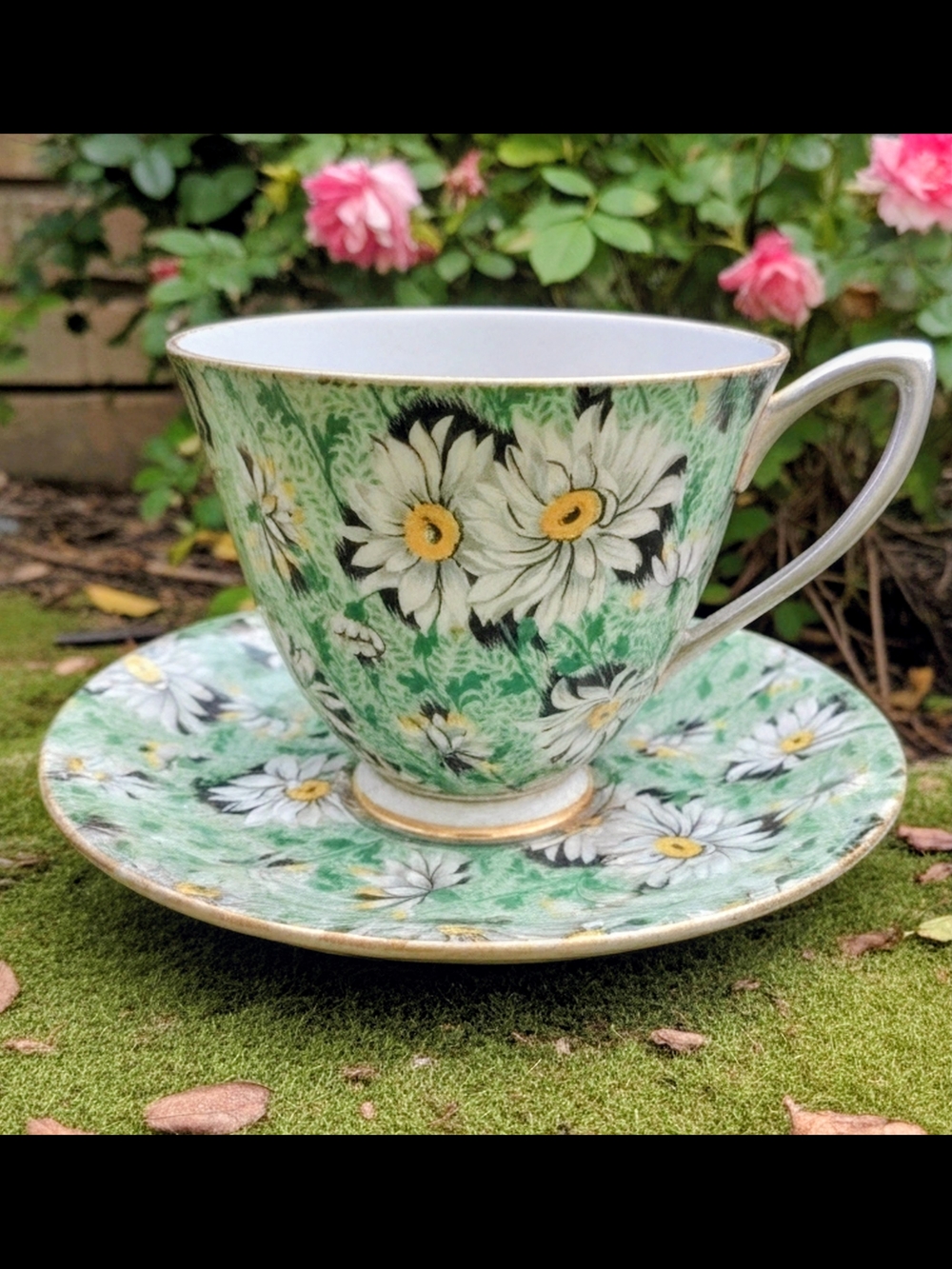 Shelley Green Daisy Chintz Bone China Cup & Saucer Set. Rare Ripon Shape
